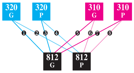 schema 2